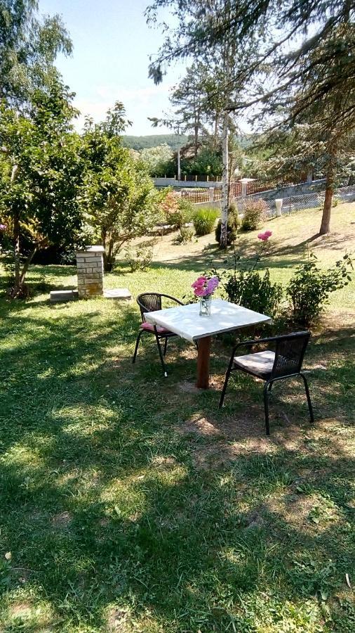 فيلا Takovo - Odmor U Selu غورنيي ميلانوفاك المظهر الخارجي الصورة